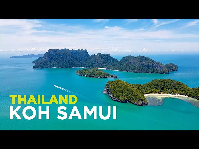 Samui Sii Thong รีวิวหนัง